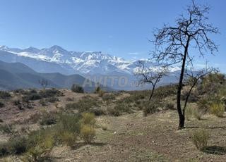 Terrain exceptionnel a (Ourika Douar Tagadirt)