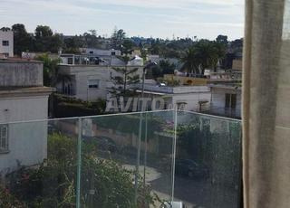 استوديو جديد مفروش للإيجار (هرميتاج)