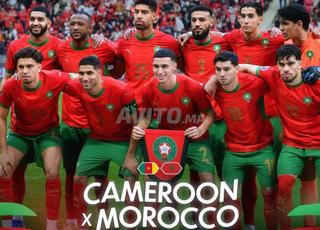 Ticket Maroc vs Cameroun