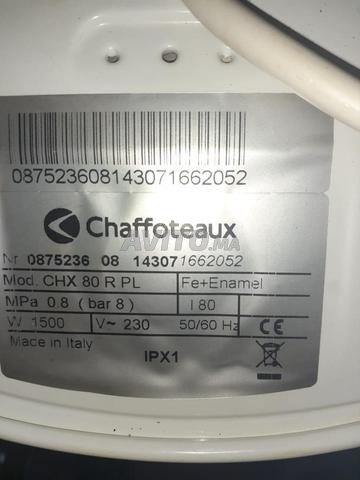 شعر مازال نقي عمرو تهال