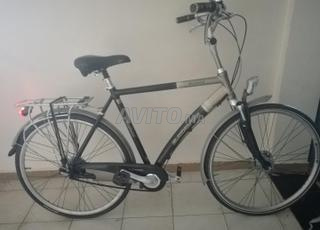 دراجة باتافوس هولندية 8 سرعات نيكزس
