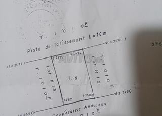 عين شقف واد نجا