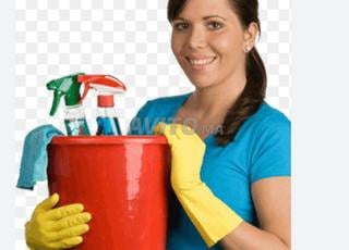 Femme de ménage, nounou et chauffeur