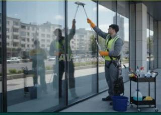 عاملة منزل، مربية وسائق