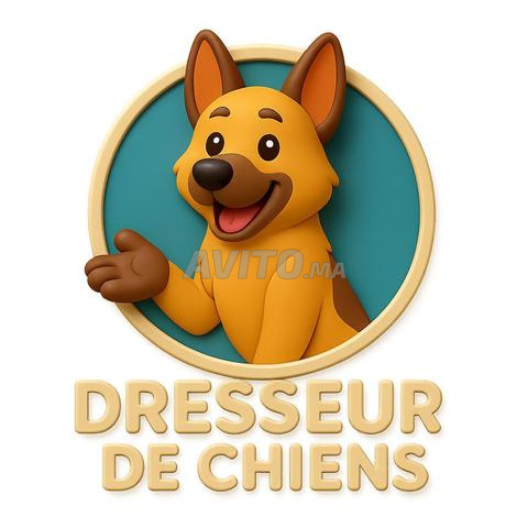 مدرب كلاب مكناس K9