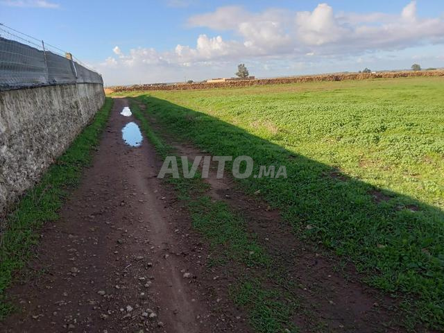 Douar Oulad Boumahdi, commune Oulad Rahmoune, province d'El Jadida - 2