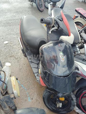 تمن هوت لي باغي يتوكل على الله - 2