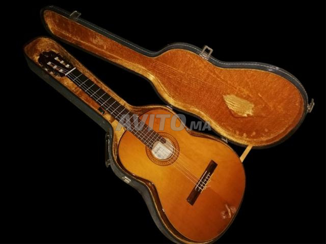 Guitare classique George Washburn C30