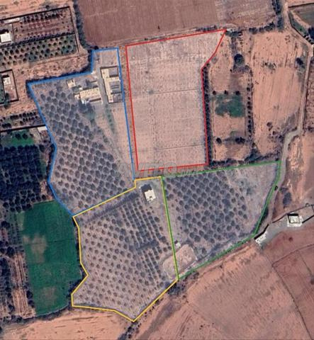 Vends 4 terrains de 9800 à 12706 m2