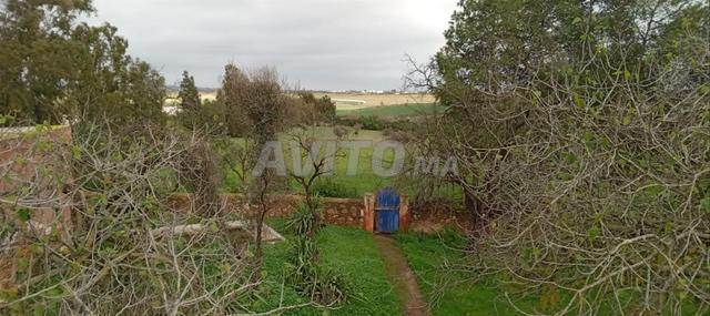 terrain de 10 hectares et demi, deux maisons