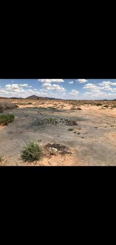 🍀☘️أرض للبيع بدون وكالة عقارية 🌲🌳🌴