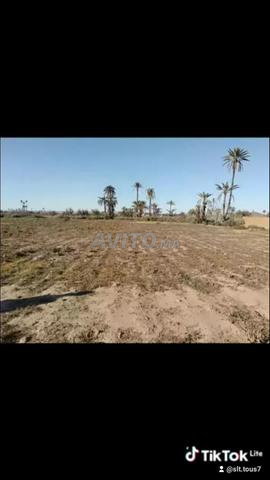 🏝️🌴🌴أرض للبيع بدون وكالة عقارية 🌲🌳🌴