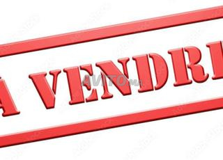 مزرعة بمساحة 27500 متر مربع للبيع في النواصر