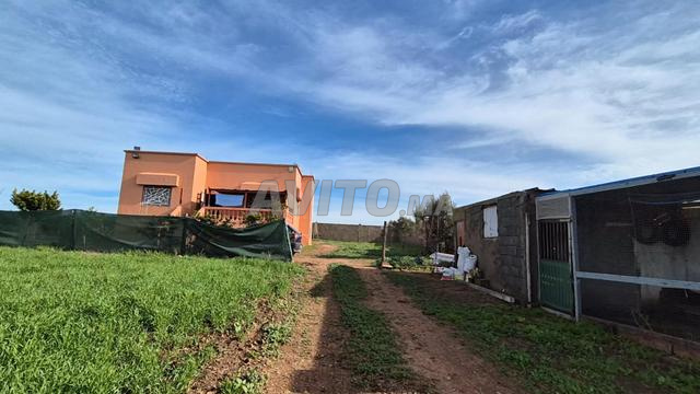 فيرمة جميلة محفظة