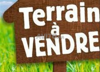Terrain à vendre à sidi maarouf