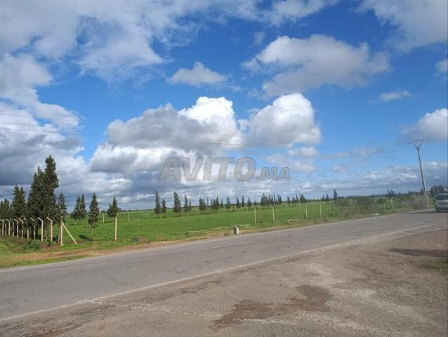 أرض للبيع هكتار ونصف