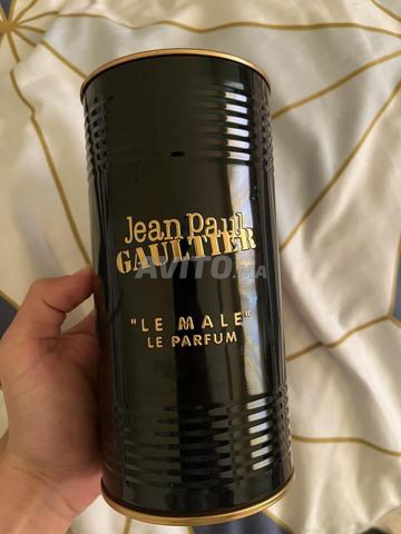 ديكانت لو مال لو بارفان