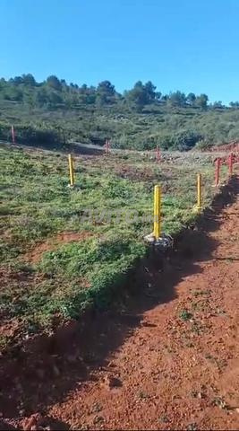 Terrain titré à vendre de 102 m2 à Azla