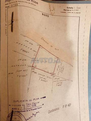 أرض منطقة فيلات