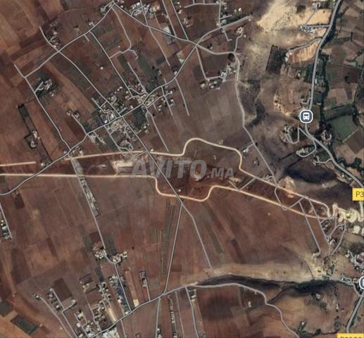 Vente ou location d’un terrain (chia3)