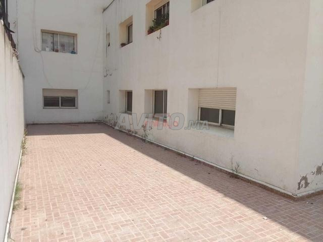 Image 8