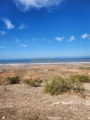 أرض للبيع بالقرب من شاطئ بحيبح بين الصويرة وآسفي