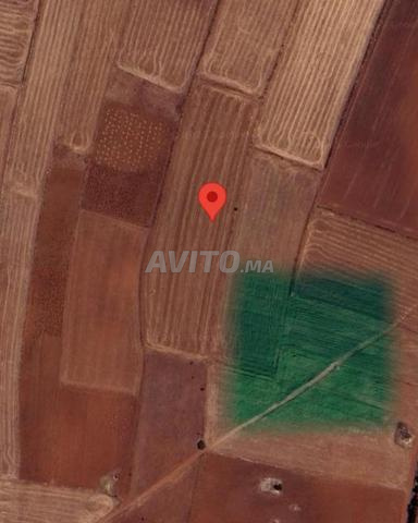 بقعة أرضية صالحة للسكن والفلاحة في منطقة الجديدة