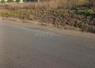 أرض للبيع في نسيم إسلان 446 متر مربع