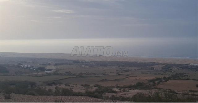 Terrain Agricole Titres 23600 m Vue sur Mer