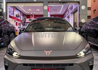 سيات ليون كوبرا