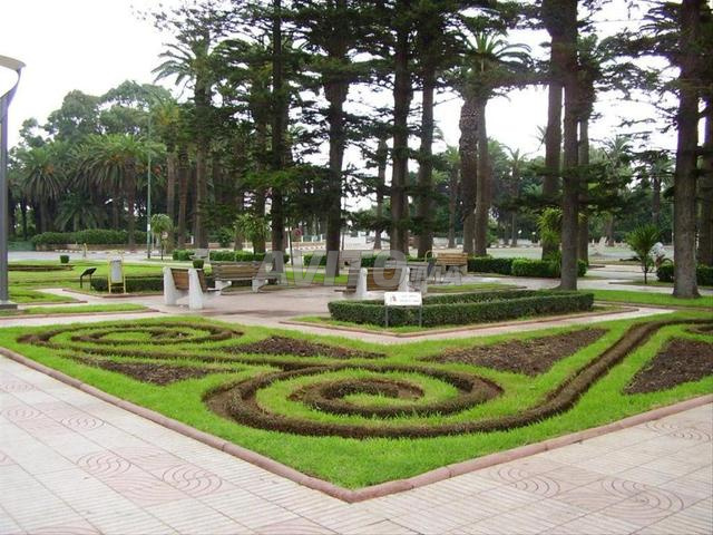 Appartement à vendre Quartier du Parc Proche ONCF