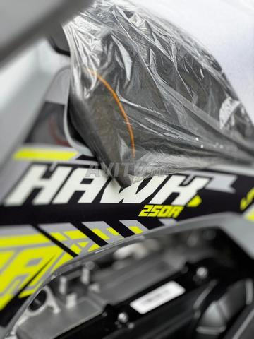 Quad LPR Hawk 250R