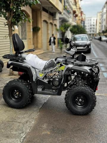 Quad LPR Hawk 250R