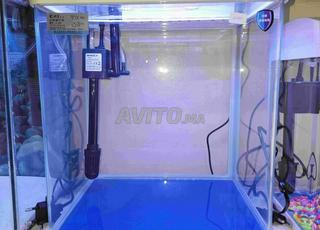 حوض سمك C.A.Y Q320