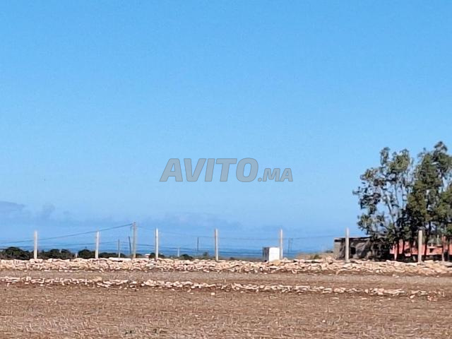 Terrain de 5000m2 titré à Sidi rahal - 2