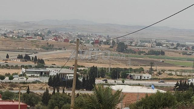 🌿 Terrain à Vendre à Tanger – Ain Dalia 🌿