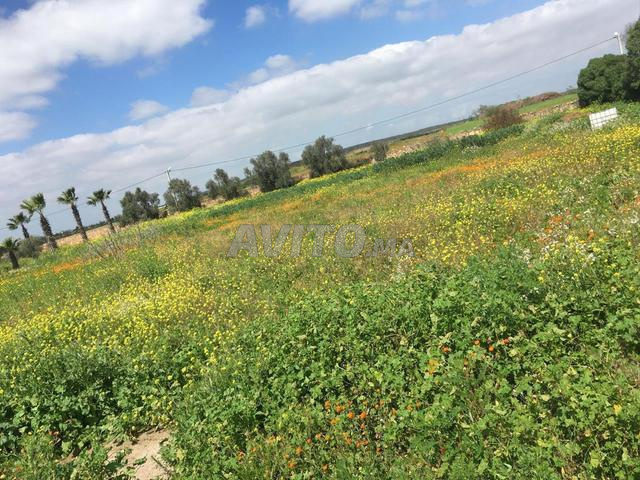 أرض 10800 متر مربع قطاع بنسليمان