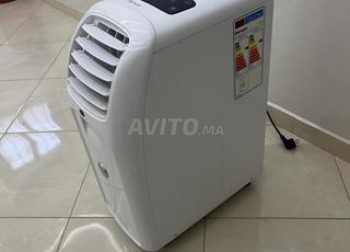 Chauffage et climatiseur mobile