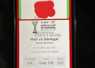 1 place Mali Sénégal catégorie 1