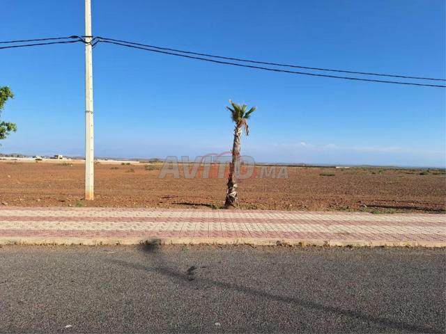 Location Terrain nu de 34278 m2 à El Kelâa des S...