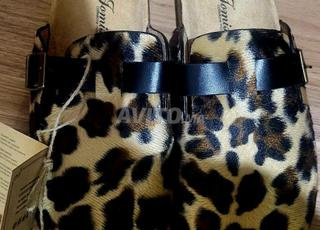 بغال ليوبارد