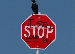 محل تجاري للبيع نواحي الأولفة