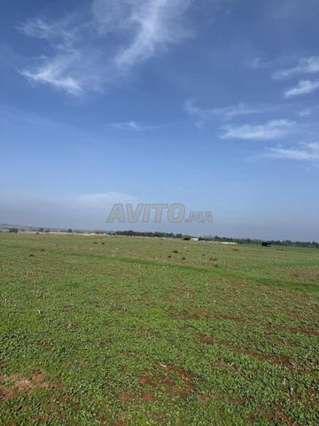 11000 متر مربع موثق موقع رائع