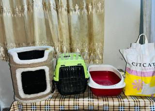 إكسسوارات للقطط والكلاب الصغيرة