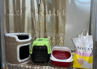 إكسسوارات للقطط والكلاب