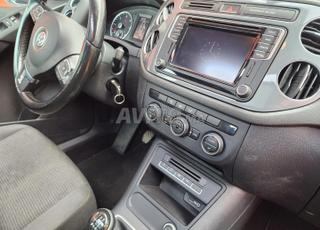 تيجوان ألمانيا ديوانة 2025