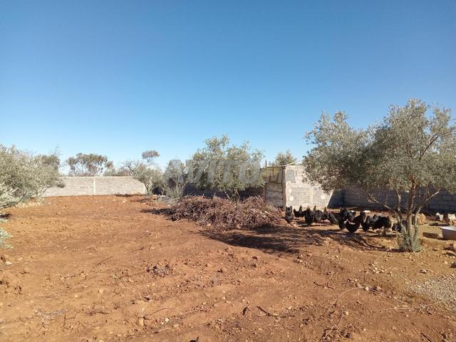 بقعة أرضية بها منزل وعنبر دجاج ومحاطة بسور - 2