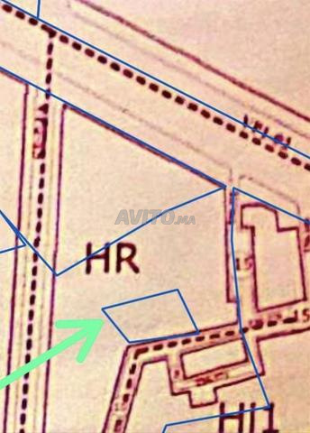 دوار گمود جماعة التمسية