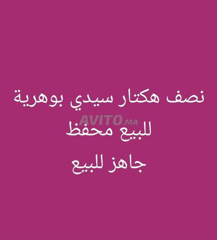 سيدي بوهرية