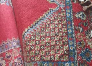 زرْبِيَّة نَقِيَّة بِزَّاف